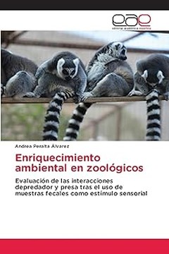 Consecuencias de no ofrecer enriquecimiento ambiental a tu gato