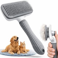 Errores que cometen los dueños al cepillar gatos de pelo corto