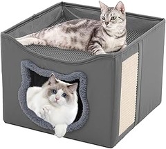 Errores a evitar al seleccionar camas para varios gatos