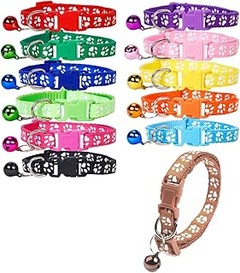 Errores que debes evitar al elegir collares para perros pequeños