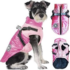 Evita estos errores al seleccionar un abrigo de invierno para tu perro pequeño