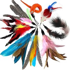 Problemas frecuentes al utilizar cañas de plumas para gatos