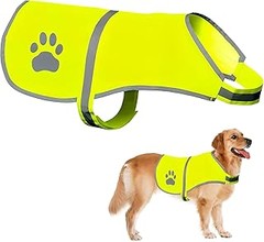 Errores frecuentes al utilizar chalecos reflectantes para perros