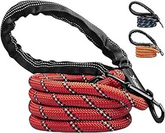 Problemas frecuentes al utilizar correas de adiestramiento largas