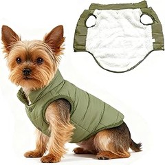 Descubre los mejores abrigos de invierno para perros pequeños según su raza