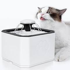 ¿Pueden las fuentes de agua ayudar con problemas urinarios en gatos?