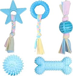 Cómo Elegir Juguetes Mordedores Resistentes para Tu Perro