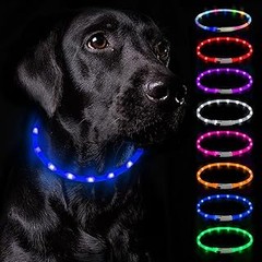 Cómo instalar correctamente collares luminosos para perros
