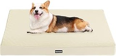 ** Cómo Elegir la Mejor Colchoneta para Perros en Interiores