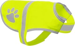 Cómo elegir el mejor chaleco reflectante para tu perro