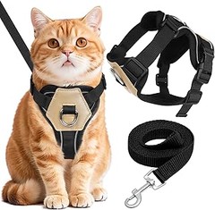 Cómo elegir el arnés ideal para llevar a tu gato de viaje