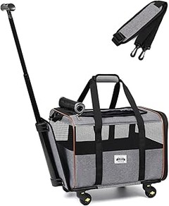 Cómo elegir el transportín grande ideal para viajar en avión
