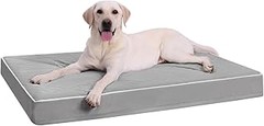 Cómo Elegir la Mejor Cama para tu Perro Grande