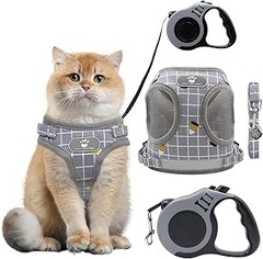 ** Cómo poner y ajustar correas ligeras para gatos: Guía práctica