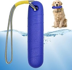 Juguetes acuáticos para perros que son perfectos para llevar de viaje