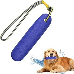 Juguetes acuáticos seguros para perros: conoce los materiales y riesgos