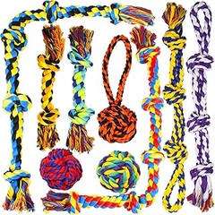 ¿Cuál es el mejor juguete para perros grandes?