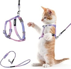 ¿Cada cuánto deberías limpiar el arnés de tu gato?