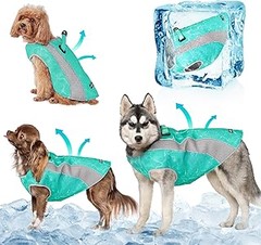 Cómo mantener y cuidar el chaleco refrigerante de tu perro