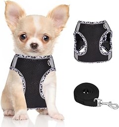 Cómo mantener y limpiar arneses para perros pequeños eficazmente