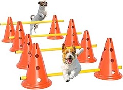 ¿Qué materiales son los más seguros para sets de agility de perros?