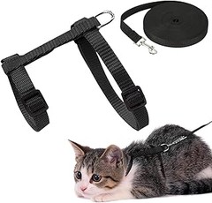 Cómo mejorar la seguridad de tu gato en exteriores con un arnés