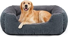 Las mejores camas para perros grandes en climas cálidos