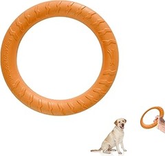 Los mejores frisbees para perros según la raza