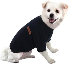 Los mejores jerséis y sudaderas para perros de razas pequeñas