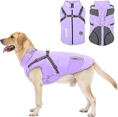 Dónde encontrar abrigos de invierno para perros medianos y grandes