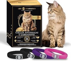 Dónde comprar collares antiparasitarios para gatos: opciones recomendadas