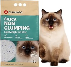 Ofertas y precios de arena de sílice para gatos: Guía de compra