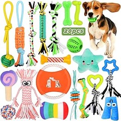 Descubre los mejores packs de juguetes para perros en 2023