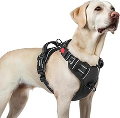 Opiniones de usuarios sobre arneses antitirones para perros