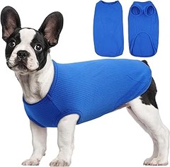 Experiencias de dueños sobre camisetas ligeras para perros en verano