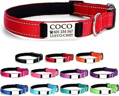 Opiniones de usuarios sobre collares con placa identificativa para perros
