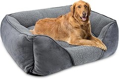 Reseñas de camas para perros grandes: comodidad y calidad