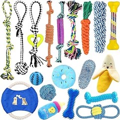 ¿Qué son los packs de juguetes para perros?