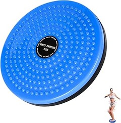 ¿Qué son las plataformas y discos de equilibrio para perros?