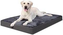 Razones por las que tu perro grande puede rechazar su cama
