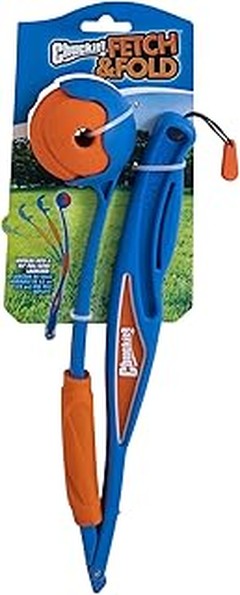 Razones por las que tu perro no juega con el juguete y cómo solucionarlo