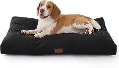 Descubre los precios de camas para perros grandes y dónde adquirirlas