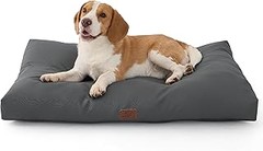 Todo lo que necesitas saber sobre camas para perros grandes
