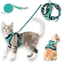 Problemas frecuentes al usar arneses en gatos y cómo solucionarlos