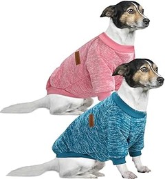 Problemas frecuentes al poner sudaderas a tu perro