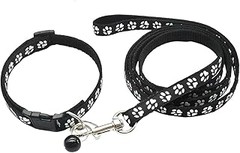 Soluciones a problemas comunes con collares para perros pequeños