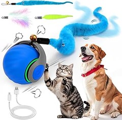 Problemas al usar juguetes para gatitos y cómo mantener su seguridad