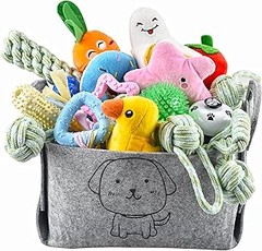 Problemas frecuentes al usar packs de juguetes para perros