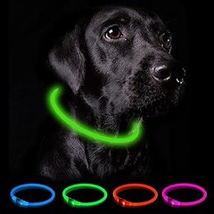 Baterías necesarias para collares luminosos de perros