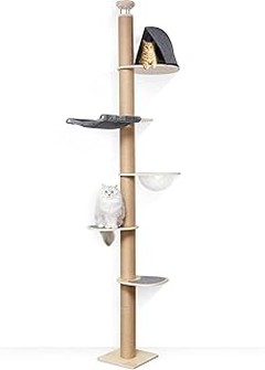 Árboles para gatos hasta el techo